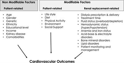 Digital health technology to support care and improve outcomes of chronic kidney disease patients: as a case illustration, the Withings toolkit health sensing tools